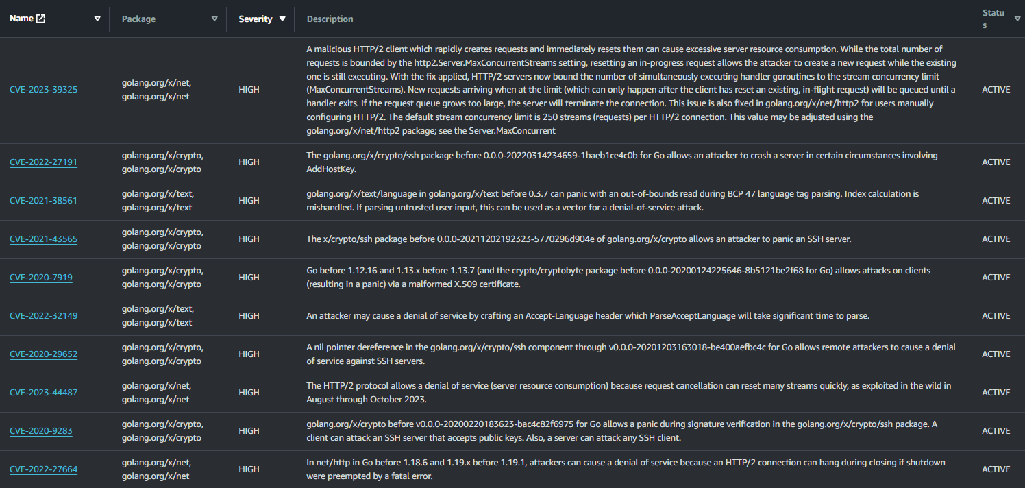 AWS ECR finds major CVEs in golang:1.22.5-alpine3.20 - Getting Help - Go  Forum