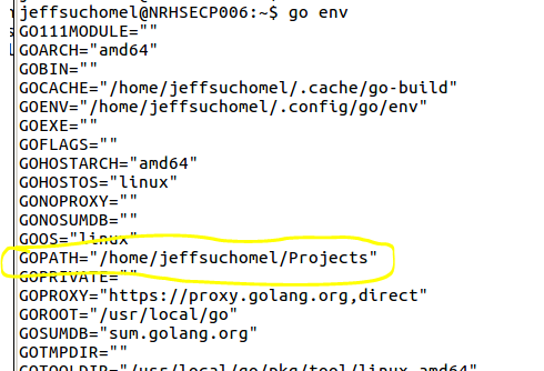 go%20env