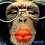 Anthony_Morreau