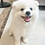 Jack_Liu